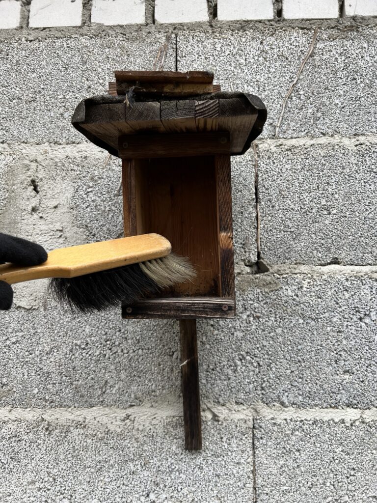 img_7812-1-768x1024 Warum es wichtig ist, Vögel das ganze Jahr über zu füttern und Insekten zu schützen